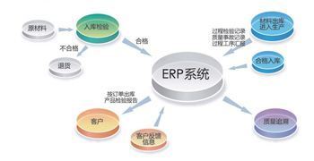 軟件銷售市場動(dòng)態(tài) 創(chuàng)新驅(qū)動(dòng)與數(shù)字化轉(zhuǎn)型成新焦點(diǎn)