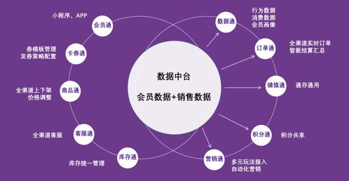 紫日軟件導(dǎo)購?fù)?.0 直連消費者，驅(qū)動銷量暴漲的智能銷售解決方案