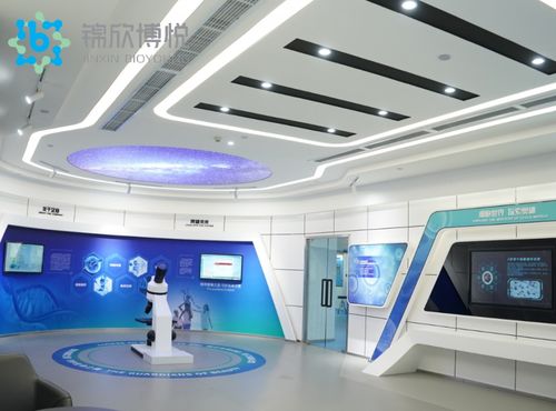 成功入庫國家項目，成都錦欣博悅加速技術創新與軟件開發布局